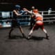 boks boksen boksenbreda boxingbreda boxing university breda wedstrijd bokser boksers boxer