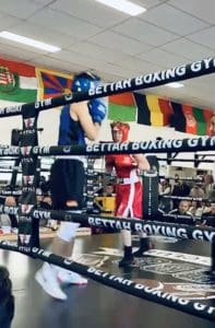 Boxing University Breda Boksen