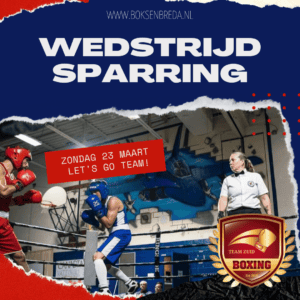 Logo van Team Zuid Boxing University Breda, met een gouden bokshandschoen, rode en gouden kleuren, en de tekst ‘Team Zuid Boxing, Est 2020’