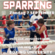 **Alt-tekst:** Actiefoto van twee jeugdige boksers in de ring tijdens een sparringsessie. De bokser in het blauw reikt met een stoot naar zijn tegenstander in het rood. Op de achtergrond kijken toeschouwers en andere boksers toe. Over de afbeelding staat informatie over een sparringsevenement: * "SPARRING" (grote rode letters) * Zondag 7 september * 09:00 uur Jeugd tot 16 jr * 10:00 uur Dames Elite * 11:00 uur Heren Elite * Locatie: Boxing University. Er worden pictogrammen van een kalender, klok en locatiepin gebruikt om de informatie te ondersteunen.